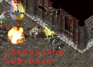 ��λ�����콣�����춥����ʿ�������ԣ�