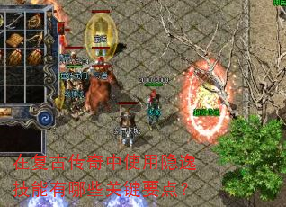 在复古传奇中使用隐逸技能有哪些关键要点? 在复古传奇中使用隐逸技能有哪些关键要点?