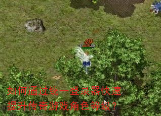 如何通过统一登录器快速提升传奇游戏角色等级? 如何通过统一登录器快速提升传奇游戏角色等级?