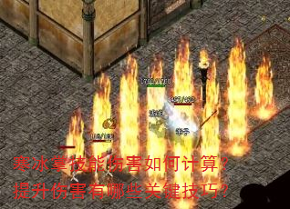 寒冰掌技能伤害如何计算?提升伤害有哪些关键技巧? 寒冰掌技能伤害如何计算?提升伤害有哪些关键技巧?