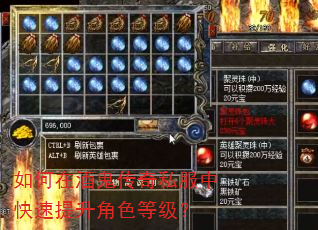 如何在酒鬼传奇私服中快速提升角色等级? 如何在酒鬼传奇私服中快速提升角色等级?