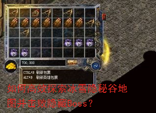 如何高效探索冰雪隐秘谷地图并击败隐藏Boss? 如何高效探索冰雪隐秘谷地图并击败隐藏Boss?