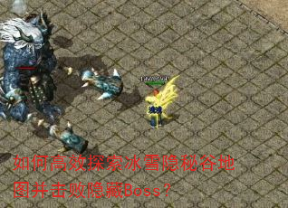 如何高效探索冰雪隐秘谷地图并击败隐藏Boss? 如何高效探索冰雪隐秘谷地图并击败隐藏Boss?