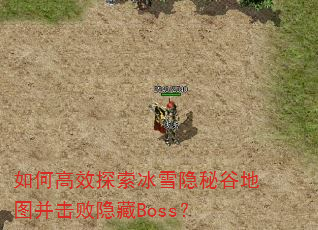 如何高效探索冰雪隐秘谷地图并击败隐藏Boss? 如何高效探索冰雪隐秘谷地图并击败隐藏Boss?