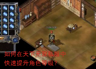 如何在天下无双私服中快速提升角色等级? 如何在天下无双私服中快速提升角色等级?