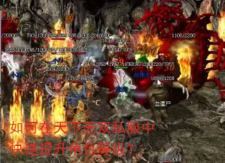 如何在天下无双私服中快速提升角色等级? 如何在天下无双私服中快速提升角色等级?