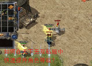 如何在天下无双私服中快速提升角色等级? 如何在天下无双私服中快速提升角色等级?
