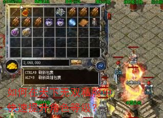 如何在天下无双私服中快速提升角色等级? 如何在天下无双私服中快速提升角色等级?