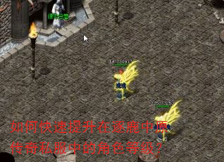 如何快速提升在逐鹿中原传奇私服中的角色等级? 如何快速提升在逐鹿中原传奇私服中的角色等级?