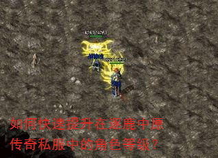 如何快速提升在逐鹿中原传奇私服中的角色等级? 如何快速提升在逐鹿中原传奇私服中的角色等级?