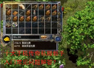 十大手机传奇私服新手入门常见问题解答? 十大手机传奇私服新手入门常见问题解答?