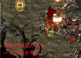 如何快速提升二合一传奇角色等级? 如何快速提升二合一传奇角色等级?