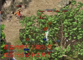 连击传奇尸王殿为何成为行会必争之地? 连击传奇尸王殿为何成为行会必争之地?
