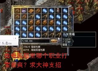 传奇私服里哪个职业打宝最爽?求大神支招 传奇私服里哪个职业打宝最爽?求大神支招