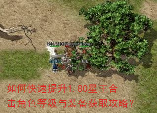 如何快速提升1.80星王合击角色等级与装备获取攻略? 如何快速提升1.80星王合击角色等级与装备获取攻略?