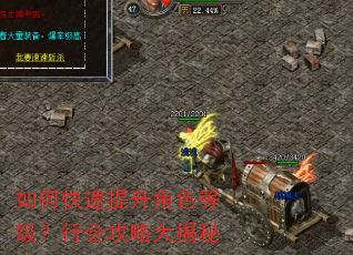 如何快速提升角色等级?行会攻略大揭秘 如何快速提升角色等级?行会攻略大揭秘