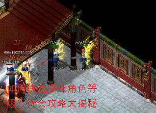 如何快速提升角色等级?行会攻略大揭秘 如何快速提升角色等级?行会攻略大揭秘
