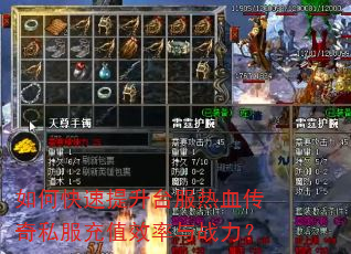 如何快速提升台服热血传奇私服充值效率与战力? 如何快速提升台服热血传奇私服充值效率与战力?