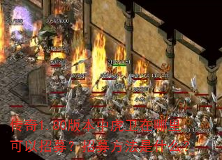 传奇1.80版本中虎卫在哪里可以招募?招募方法是什么? 传奇1.80版本中虎卫在哪里可以招募?招募方法是什么?