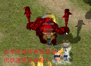 安卓热血传奇私服如何快速提升等级? 安卓热血传奇私服如何快速提升等级?