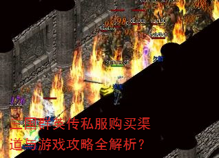 三国群英传私服购买渠道与游戏攻略全解析? 三国群英传私服购买渠道与游戏攻略全解析?