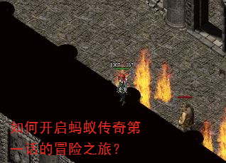如何开启蚂蚁传奇第一话的冒险之旅? 如何开启蚂蚁传奇第一话的冒险之旅?