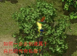 如何一步步创建属于自己的传奇私服? 如何一步步创建属于自己的传奇私服?