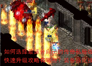 如何选择最适合自己的传奇私服版本?新手快速升级攻略有哪些?装备强化技巧全解析 如何选择最适合自己的传奇私服版本?新手快速升级攻略有哪些?装备强化技巧全解析