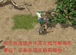 如何快速提升冰雪之城传奇角色等级?装备获取攻略有哪些? 如何快速提升冰雪之城传奇角色等级?装备获取攻略有哪些?