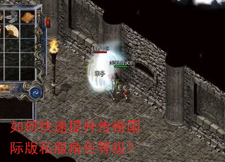 如何快速提升传奇国际版私服角色等级? 如何快速提升传奇国际版私服角色等级?