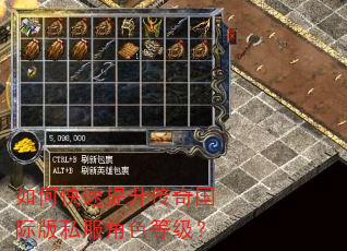 如何快速提升传奇国际版私服角色等级? 如何快速提升传奇国际版私服角色等级?