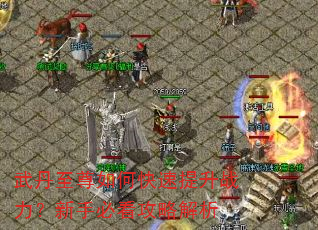 武丹至尊如何快速提升战力?新手必看攻略解析 武丹至尊如何快速提升战力?新手必看攻略解析