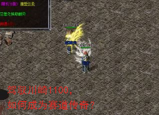 驾驭川崎1100,如何成为赛道传奇? 驾驭川崎1100,如何成为赛道传奇?
