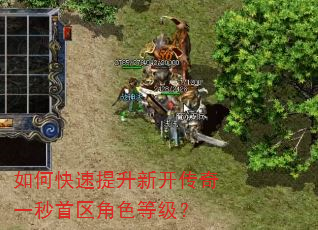 如何快速提升新开传奇一秒首区角色等级? 如何快速提升新开传奇一秒首区角色等级?