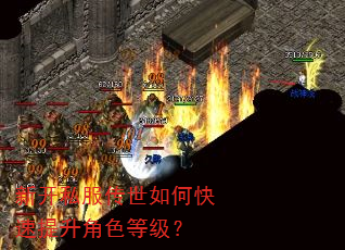 新开私服传世如何快速提升角色等级? 新开私服传世如何快速提升角色等级?