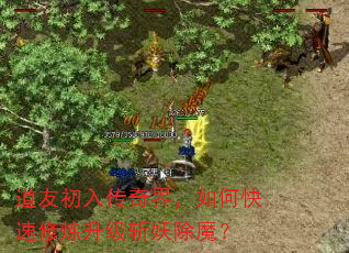 ���ѳ��봫��磬��ο�����������ն����ħ��